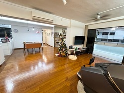 Blk 544 Panshan Grove (Bukit Panjang), HDB Executive #524492081